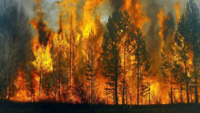 Photo of AKUT Uyarıyor! Orman Yangını ile Karşılaşınca Yapmamız Gerekenler…